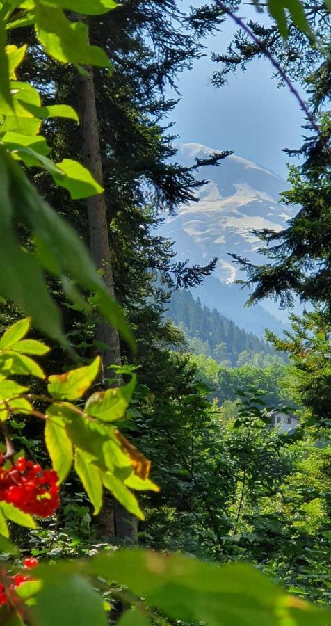 Apartmán Castel De Roches Saint-Gervais-les-Bains Exteriér fotografie